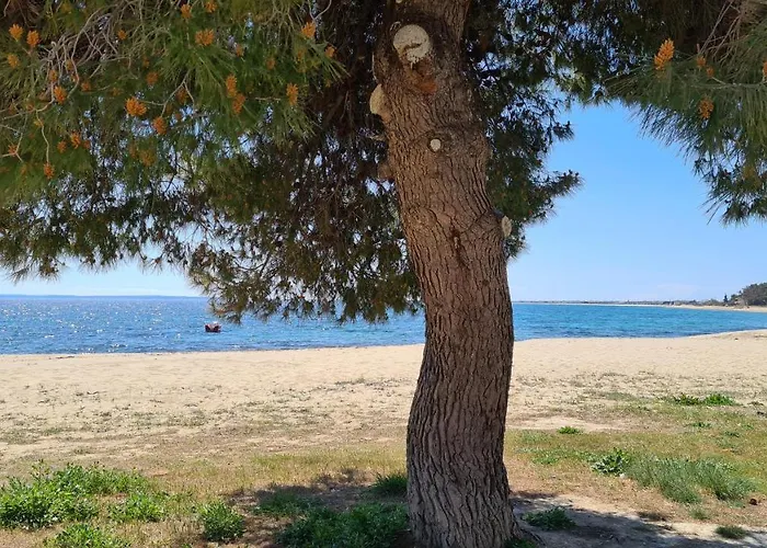 Kalybeach Apartman *