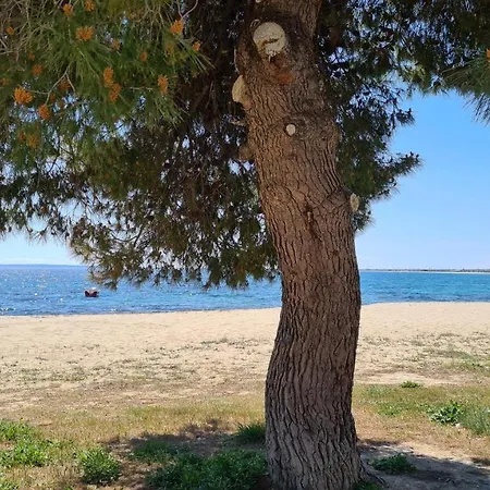 Kalybeach Διαμέρισμα *