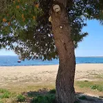 Kalybeach Apartament *
