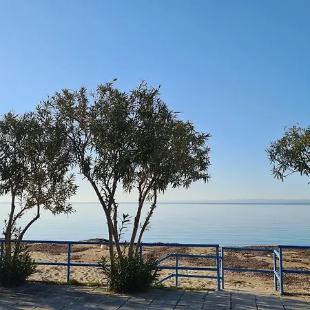 Apartamento Kalybeach